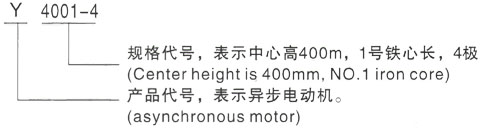 西安泰富西玛Y系列(H355-1000)高压Y500-6三相异步电机型号说明